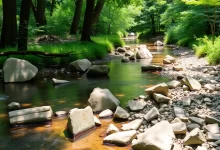 Photo of Проверенные способы различных аспектах жизни для начинающих